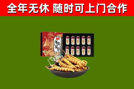 南岳回收冬虫夏草价格